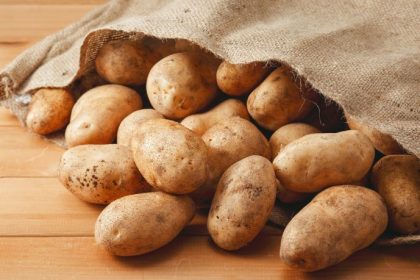 Tecnologia na Produção de Batata: Como a Inovação Está Elevando o Padrão de Qualidade no Campo