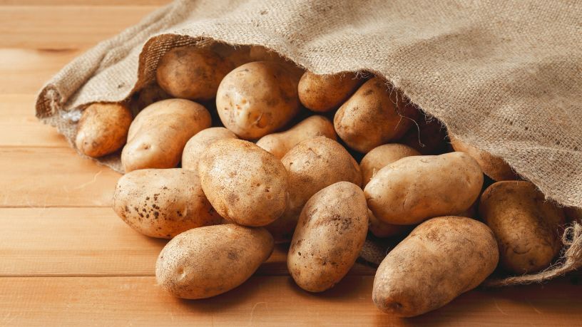 Tecnologia na Produção de Batata: Como a Inovação Está Elevando o Padrão de Qualidade no Campo