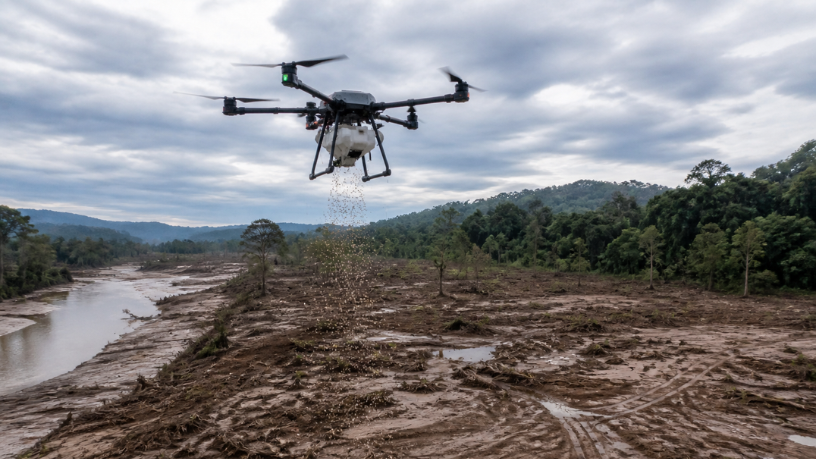 Tecnologia para reflorestamento ganha força após enchentes e redefine recuperação ambiental no Brasil