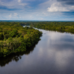 Floresta amazônica preservada às margens de um rio no sul do Amazonas