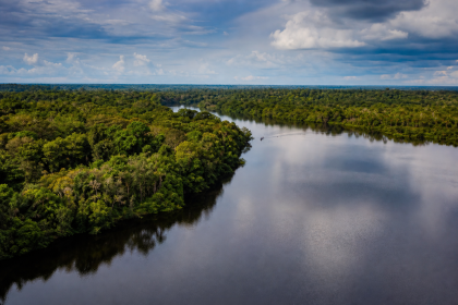 Floresta amazônica preservada às margens de um rio no sul do Amazonas