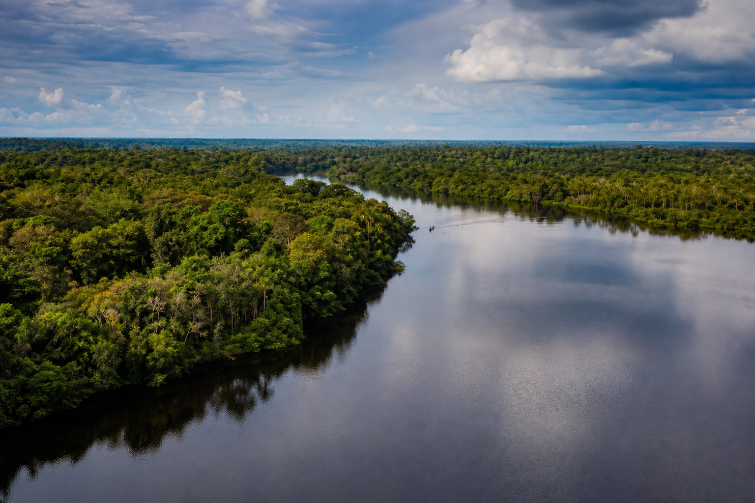 Floresta amazônica preservada às margens de um rio no sul do Amazonas